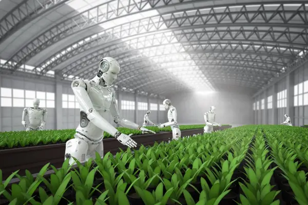 Robôs jardineiros: eles já existem e cabem no seu orçamento