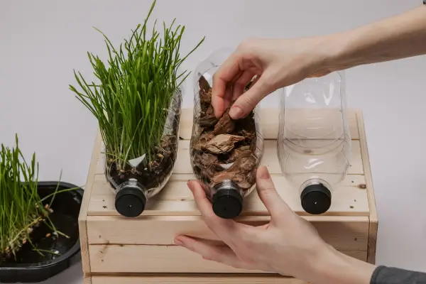 Refúgio alimentar verde com garrafas PET para cultivo de temperos e hortaliças